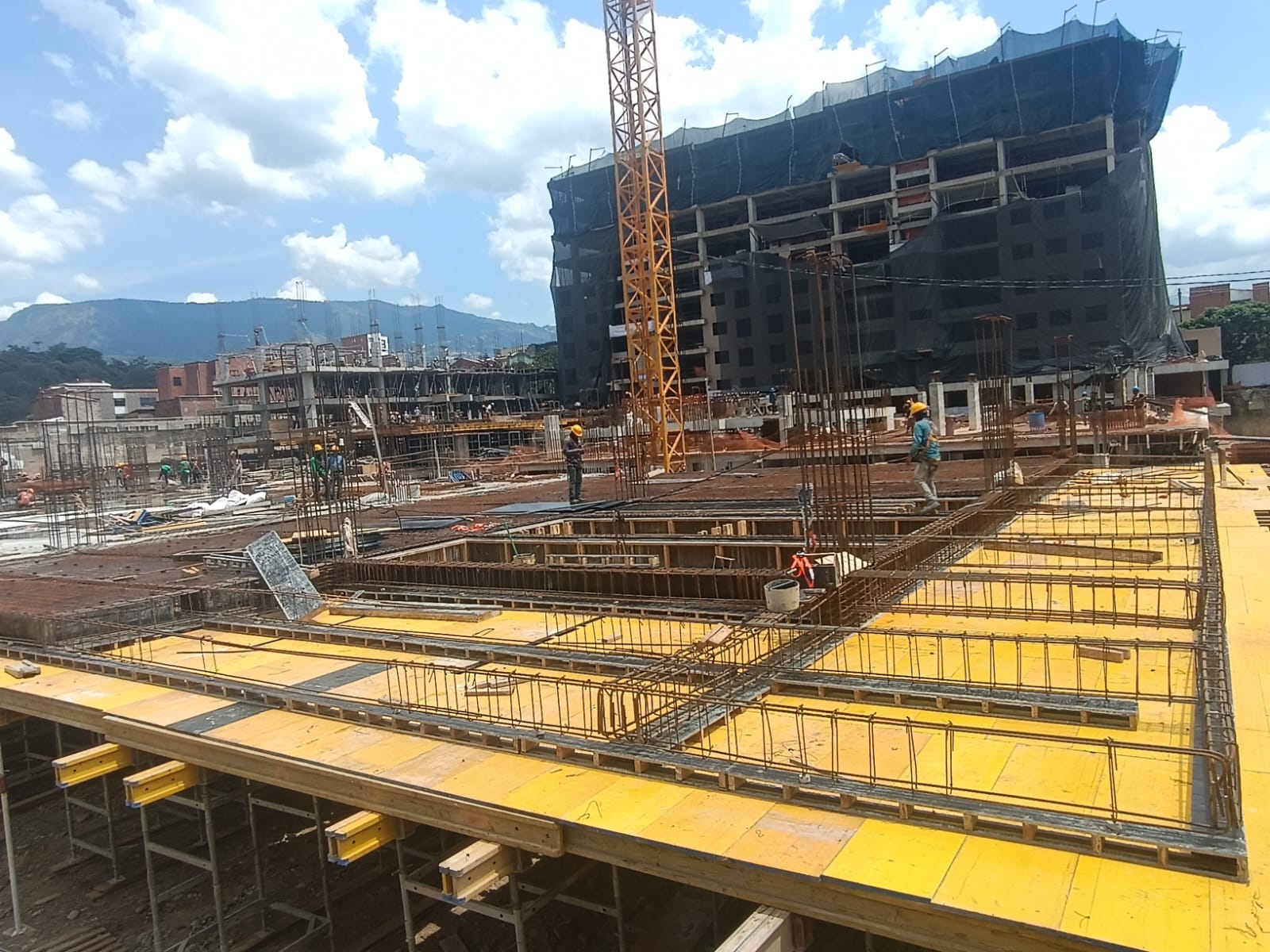 Encofrado de losa con tableros fenólicos amarillos y grúa torre en operación
